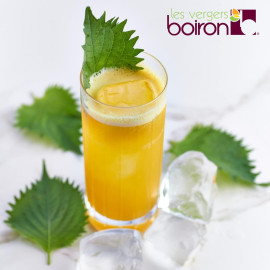 Les Vergers Boiron Passion Fruit (Çarkıfelek) Püresi 1 Litre 100% Meyve, Tamamen Doğal, Şeker İlavesiz, GDO'suz, Koruyucusuz, Aroma İlavesiz, Vegan, İçecekler ve Kokteyller İçin 33,8 Fl Oz (1'li Paket)