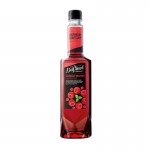 DaVinci Gourmet Frambuaz Şurup 750ml